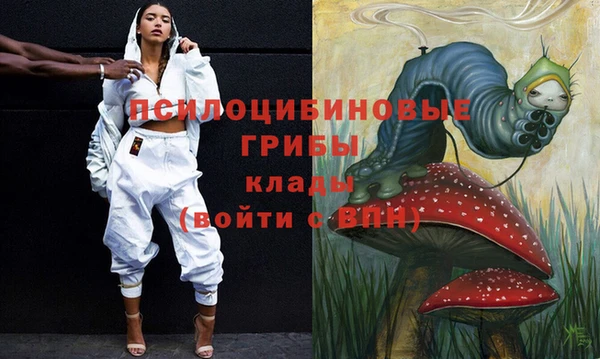 мяу мяу мука Михайлов